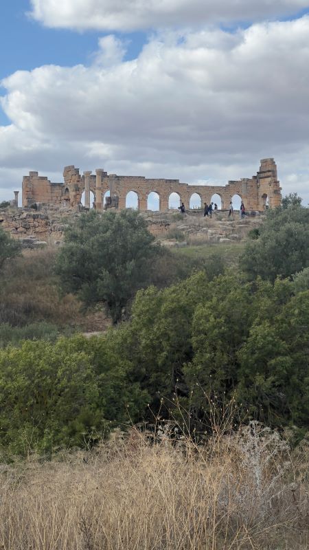 Seguro Viagem Marrocos – Melhores empresas, onde comprar e dicas