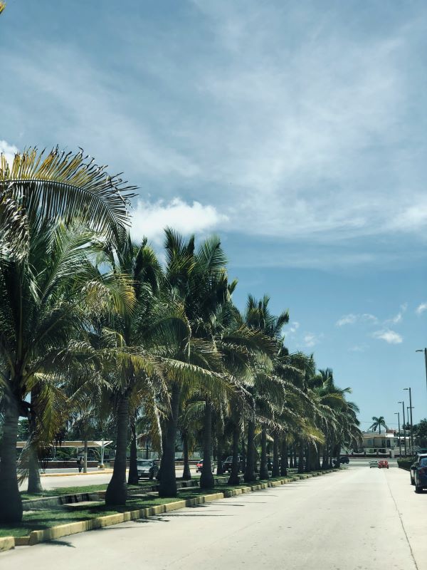 Melhores locadoras em Cancún para quem quer alugar carro sem dor de cabeça