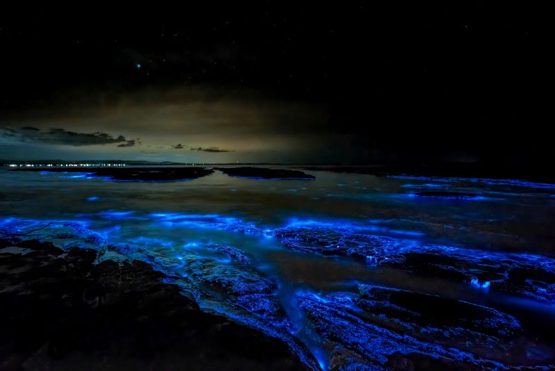 O que fazer em Holbox [2025] - Guia com dicas e experiências reais