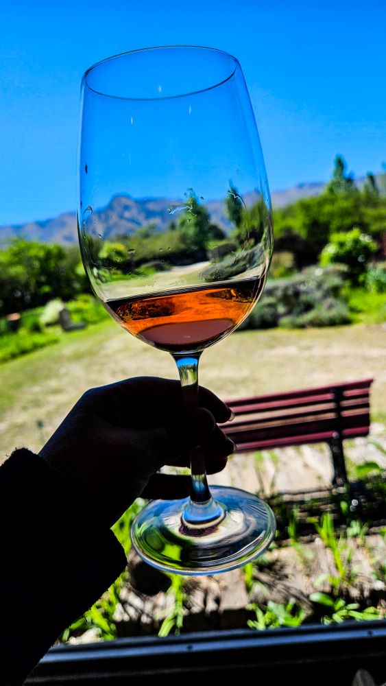 Taça de vinho em vinícola no interior de Córdoba Argentina, com vista para as serras ao fundo.